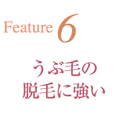 Feature6 うぶ毛の脱毛に強い